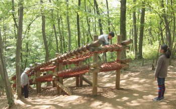 野山北公園 あそびの森 冒険の森 のやまきた 関東で子どもと一緒に楽しむ公園とアスレチック