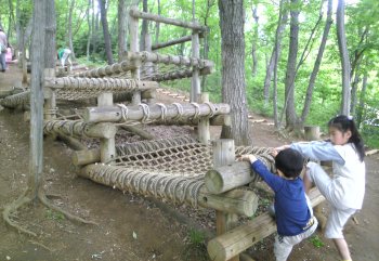 野山北公園 あそびの森 冒険の森 のやまきた 関東で子どもと一緒に楽しむ公園とアスレチック