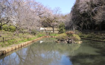 藤沢市少年の森  関東で子どもと一緒に楽しむ公園とアスレチック