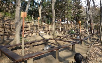 フィールドアスレチック 横浜つくし野コース 関東で子どもと一緒に楽しむ公園とアスレチック