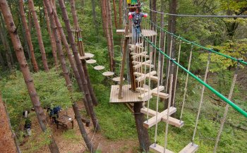 フォレストアドベンチャー フジ 関東で子どもと一緒に楽しむ公園とアスレチック