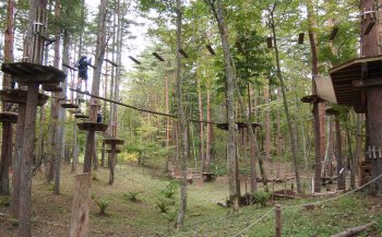 フォレストアドベンチャー フジ 関東で子どもと一緒に楽しむ公園とアスレチック