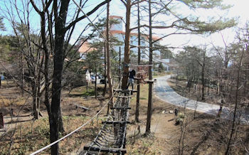 草津フォレストステージ 関東で子どもと一緒に楽しむ公園とアスレチック