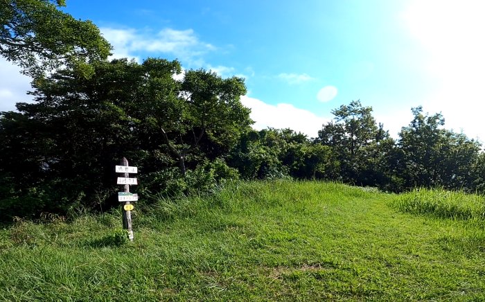 徳倉山（とくらやま）