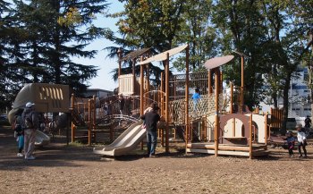 伊佐沼公園 冒険の森 関東で子どもと一緒に楽しむ公園とアスレチック